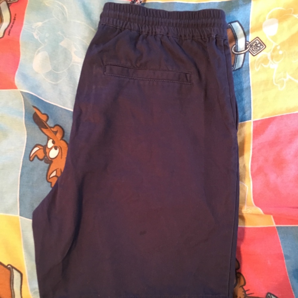 Pacsun shorts